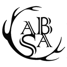 ABSA Logo